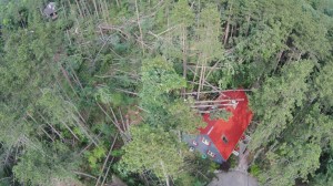 Timber Frame Construction
