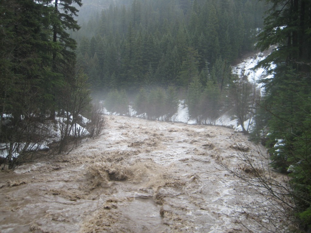 Marsh-hood-flood